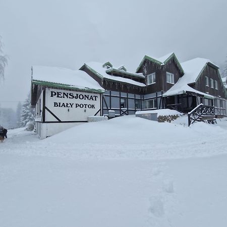 Bed and Breakfast Bialy Potok Зеленец Экстерьер фото