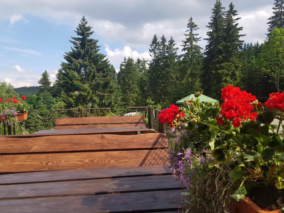 Bed and Breakfast Bialy Potok Зеленец Экстерьер фото