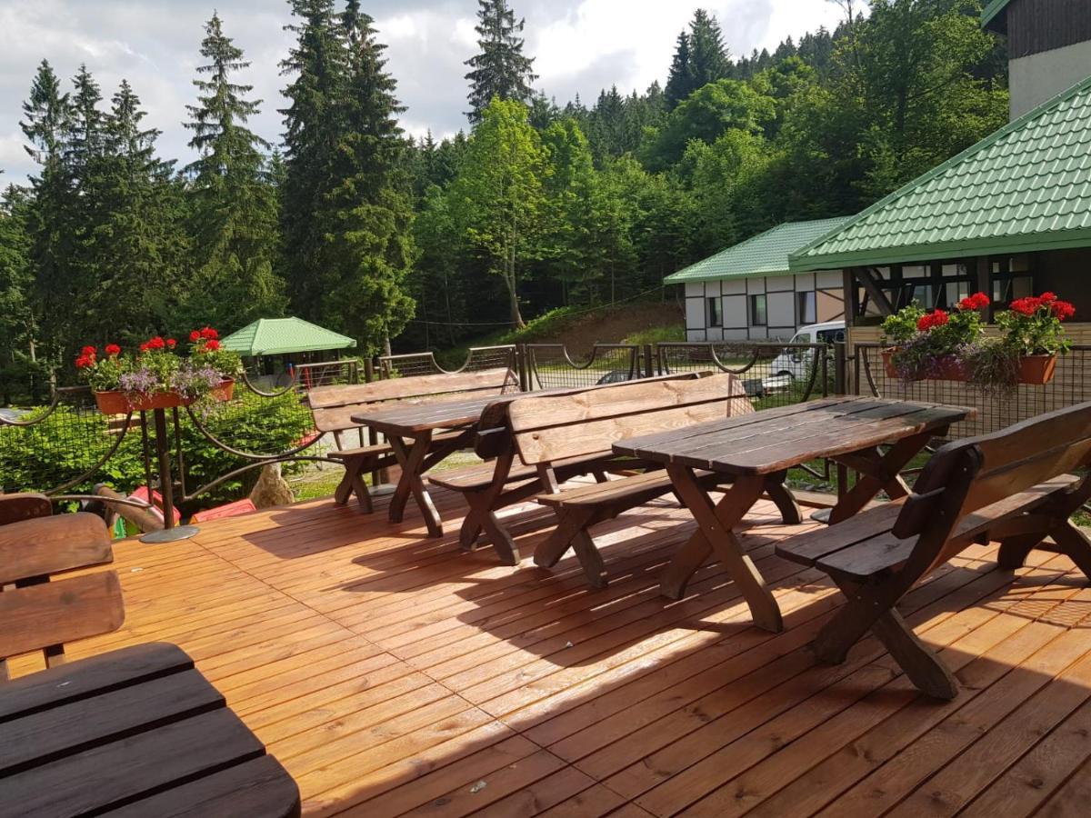 Bed and Breakfast Bialy Potok Зеленец Экстерьер фото