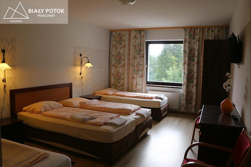 Bed and Breakfast Bialy Potok Зеленец Экстерьер фото