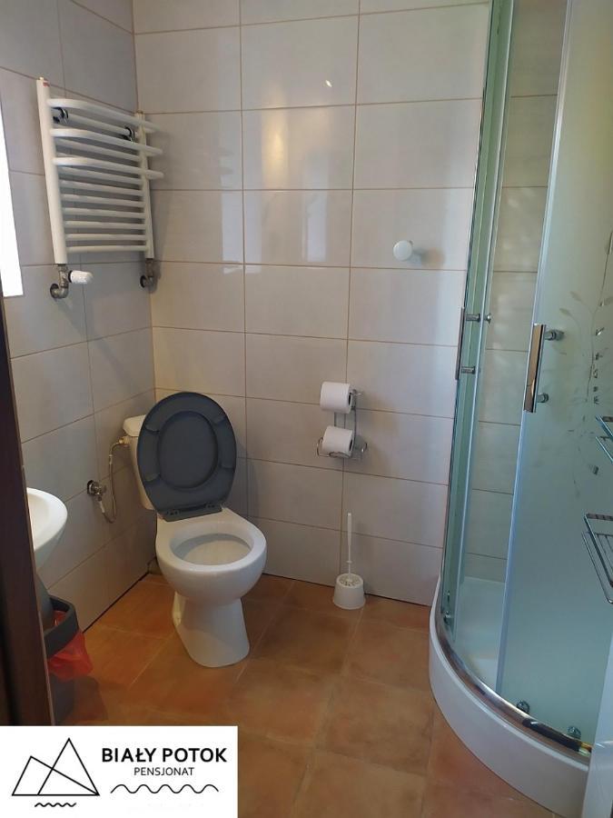 Bed and Breakfast Bialy Potok Зеленец Экстерьер фото