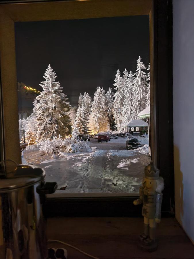 Bed and Breakfast Bialy Potok Зеленец Экстерьер фото
